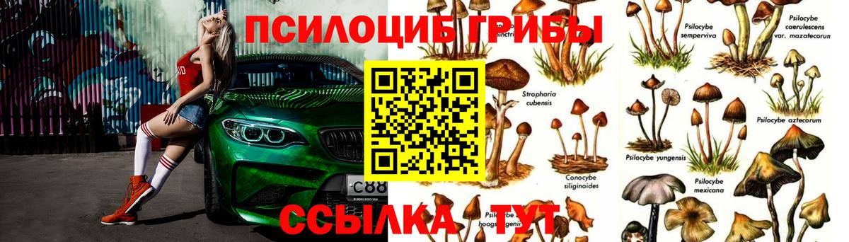 Дятьково  Псилоцибиновые грибы Psilocybine cubensis  Псилоцибиновые грибы Cubensis  Вход с VPN 